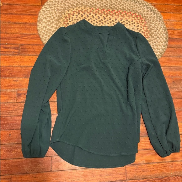 Elegant Green Swiss dot holiday Women's Top - Picture 3 of 5